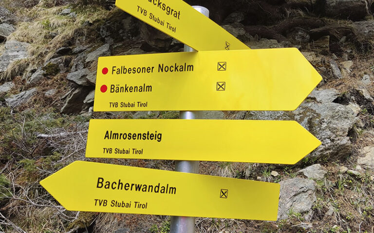 Bacherwandalm